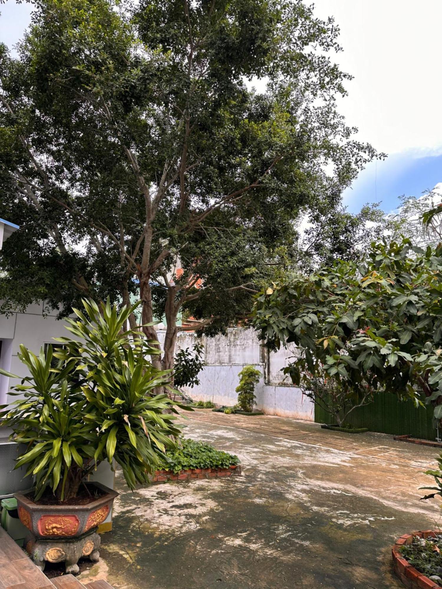 Bungalow Hotel Chi Khu Co Ong Dış mekan fotoğraf