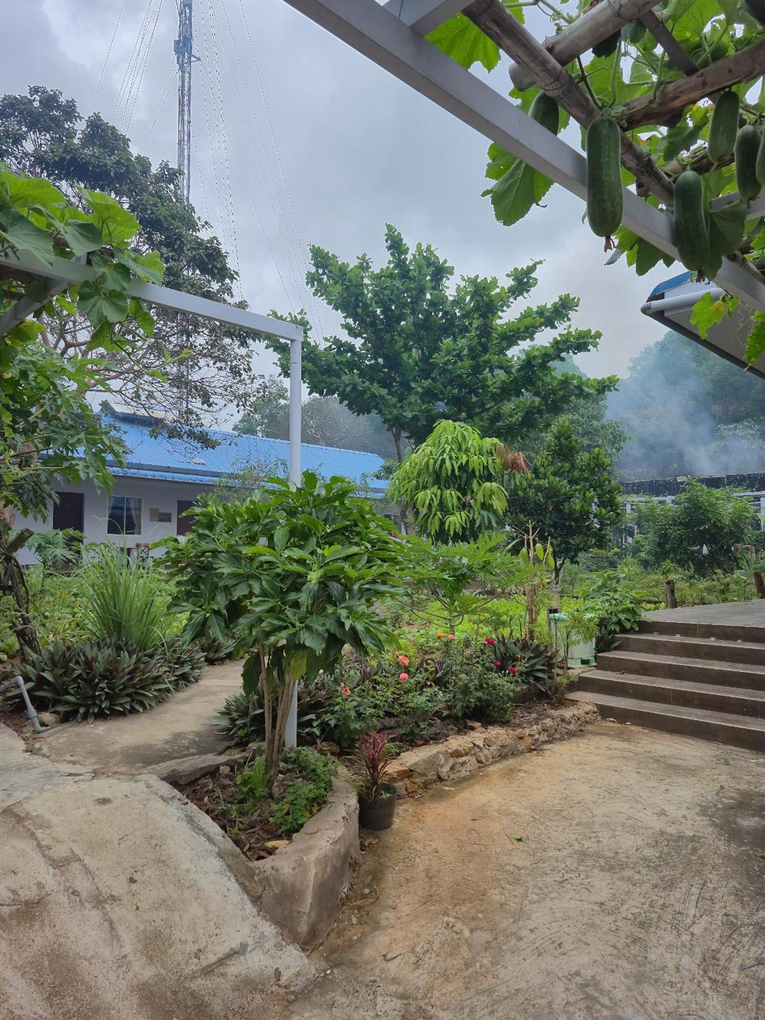 Bungalow Hotel Chi Khu Co Ong Dış mekan fotoğraf